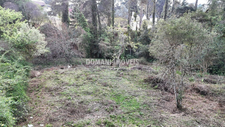 Imagem Terreno à Venda, 1.200 m² em Região De Capivari - Campos Do Jordão Imagem Terreno à Venda, 1.200 m² em Região De Capivari - Campos Do Jordão