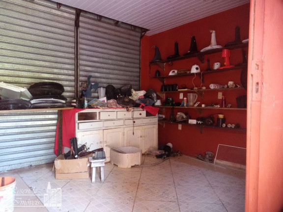 Imagem Fazenda à Venda, 1.200 m² em Sao Pedro - Curuçá