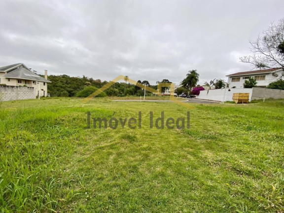 Imagem Terreno à Venda, 1.744 m² em São Gabriel - Colombo Imagem Terreno à Venda, 1.744 m² em São Gabriel - Colombo