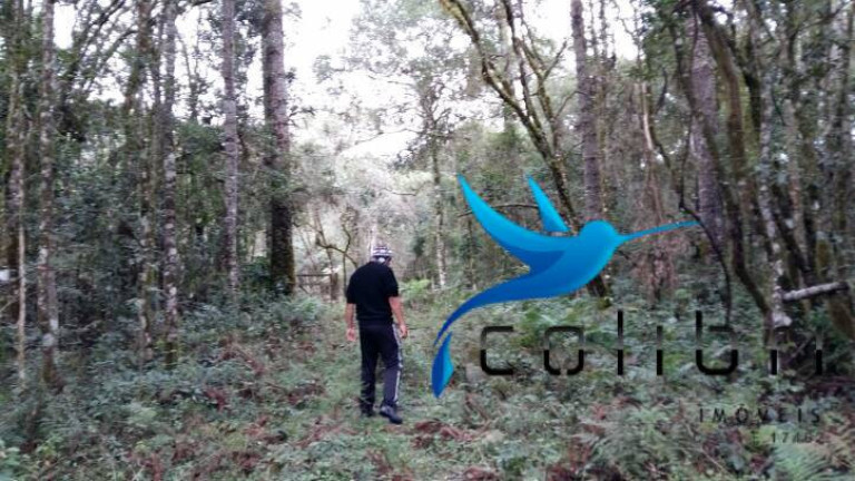 Imagem Chácara à Venda, 51.425 m² em Ribeirãozinho - Agudos Do Sul Imagem Chácara à Venda, 51.425 m² em Ribeirãozinho - Agudos Do Sul