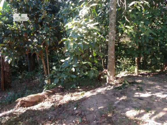 Imagem Casa com 2 Quartos à Venda, 250 m² em Jardim Vitoria - Mairinque Imagem Casa com 2 Quartos à Venda, 250 m² em Jardim Vitoria - Mairinque
