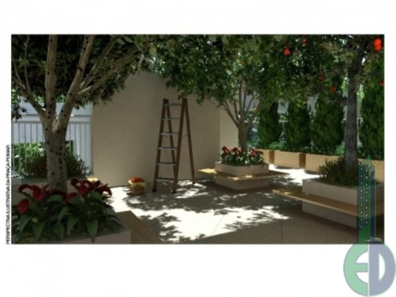 Imagem Imóvel com 4 Quartos à Venda, 227 m² em Jardim - Santo André Imagem Imóvel com 4 Quartos à Venda, 227 m² em Jardim - Santo André