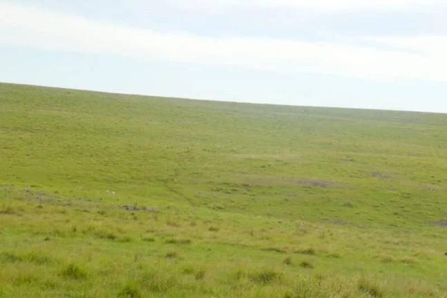 Imagem Imóvel com 4 Quartos à Venda, 4.563 m² em Itaqui