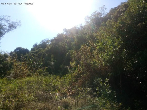 Imagem Terreno à Venda, 7.000 m² em Linha Temerária - Nova Petrópolis