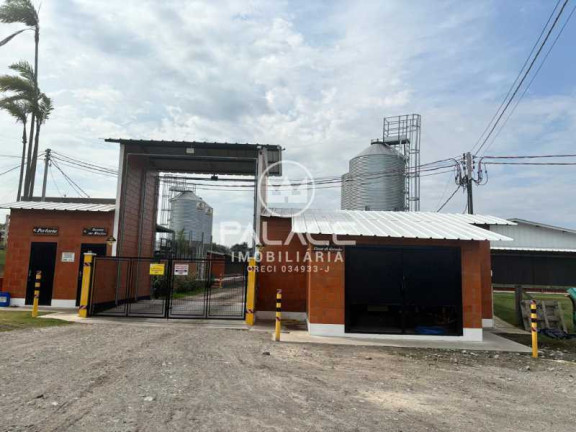 Fazenda à Venda, 12.000 m² em Zona Rural - Conchas