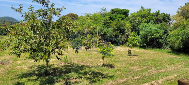 Imagem Fazenda à Venda, 3.000 m² em águas Claras - Torres Imagem Fazenda à Venda, 3.000 m² em águas Claras - Torres