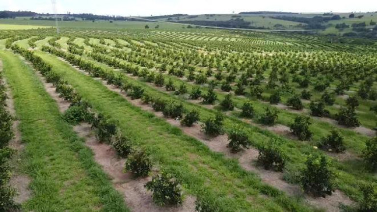 Imagem Fazenda à Venda, 121 m² em Rio Pardo - águas De Santa Bárbara