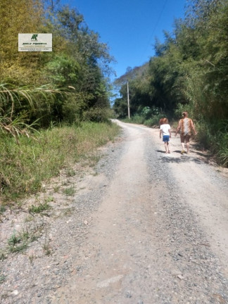 Imagem Terreno à Venda, 2.500 m² em Caetê - São Roque