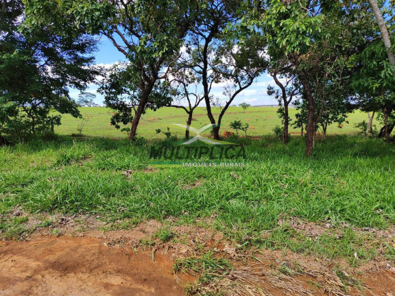 Imagem Fazenda à Venda, 252 m² em Paracatu Imagem Fazenda à Venda, 252 m² em Paracatu