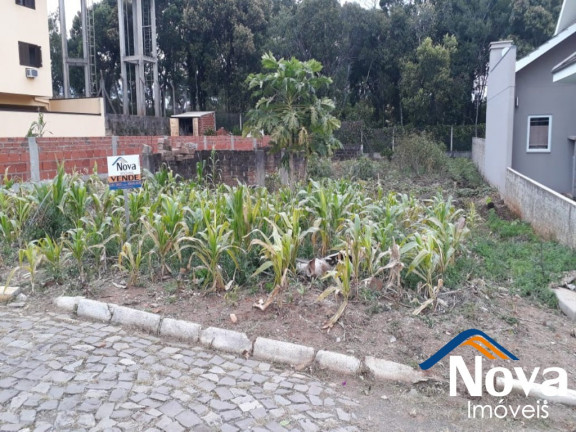 Imagem Imóvel à Venda, 448 m² em Pousada Da Neve - Nova Petrópolis