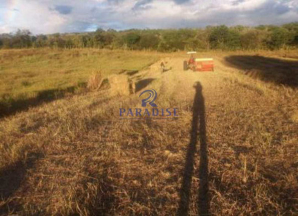 Imagem Fazenda à Venda, 2.350.000 m² em Zona Rural - Morro Do Chapéu Imagem Fazenda à Venda, 2.350.000 m² em Zona Rural - Morro Do Chapéu