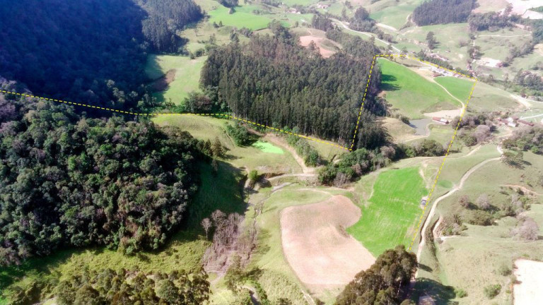 Imagem Imóvel com 3 Quartos à Venda, 230.000 m² em Zona Rural - Agrolândia