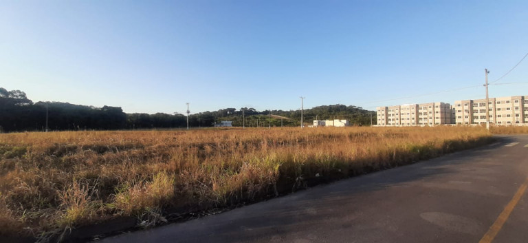 Imagem Terreno à Venda, 365 m² em Sertão Do Maruim - São José Imagem Terreno à Venda, 365 m² em Sertão Do Maruim - São José