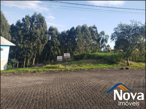 Imagem Imóvel à Venda, 450 m² em Br116 - Nova Petrópolis