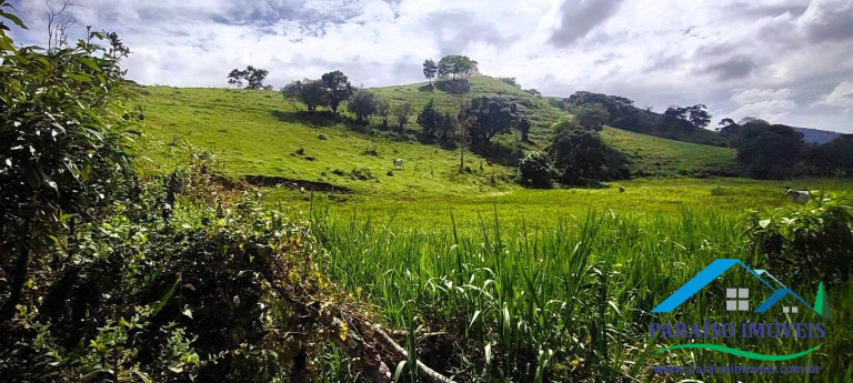 Imagem Chácara à Venda, 21 m² em Centro - Paraisópolis