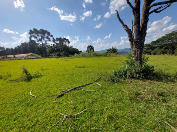 Imagem Chácara à Venda, em Sítio Linha Esperança - Iomerê Imagem Chácara à Venda, em Sítio Linha Esperança - Iomerê