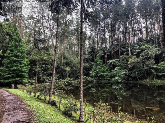 Imagem Chácara à Venda, 1.380.000 m² em Bororé - São Paulo Imagem Chácara à Venda, 1.380.000 m² em Bororé - São Paulo
