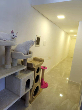 Imagem Apartamento com 3 Quartos à Venda, 79 m² em Praia De Fora - Palhoça