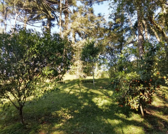 Imagem Imóvel com 4 Quartos à Venda,  em Centro - Morro Reuter
