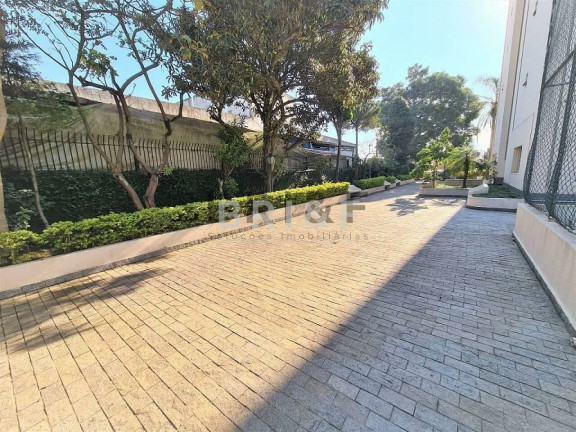 Imagem Apartamento com 2 Quartos à Venda, 75 m² em Vila Santa Catarina - São Paulo