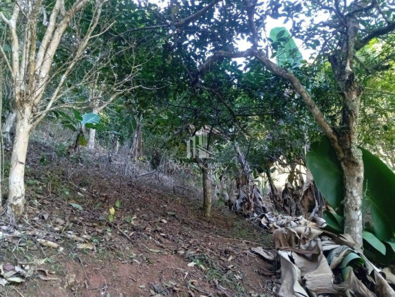 Imagem Chácara com 2 Quartos à Venda, 600 m² em Funil - Santa Branca Imagem Chácara com 2 Quartos à Venda, 600 m² em Funil - Santa Branca
