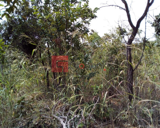 Imagem Imóvel à Venda, 3.500 m² em Centro - Montes Claros Imagem Imóvel à Venda, 3.500 m² em Centro - Montes Claros