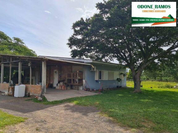 Imagem Chácara com 3 Quartos à Venda, 24.000 m² em Capão Do Padre - Caju - Nova Santa Rita