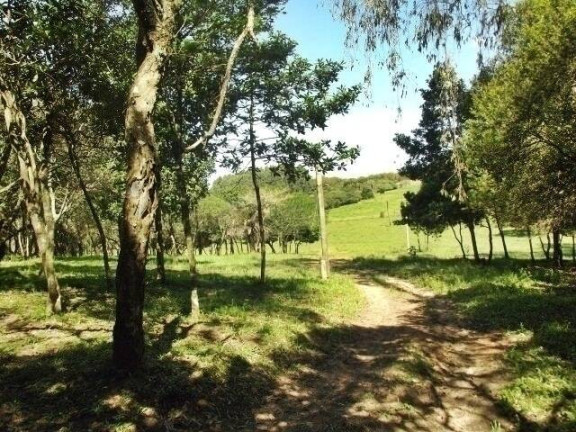 Imagem Chácara com 1 Quarto à Venda, 11 m² em águas Claras - Viamão