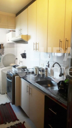 Imagem Apartamento com 2 Quartos à Venda, 55 m² em Parque Novo Mundo - São Paulo Imagem Apartamento com 2 Quartos à Venda, 55 m² em Parque Novo Mundo - São Paulo