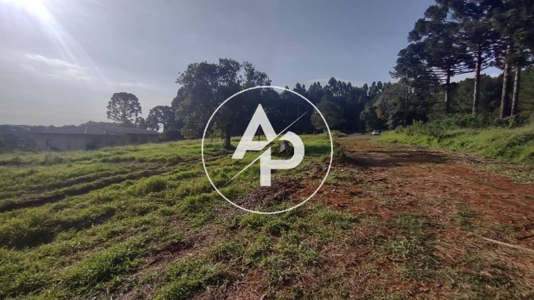 Imagem Terreno à Venda, 3.080 m² em Cará-cará - Ponta Grossa Imagem Terreno à Venda, 3.080 m² em Cará-cará - Ponta Grossa