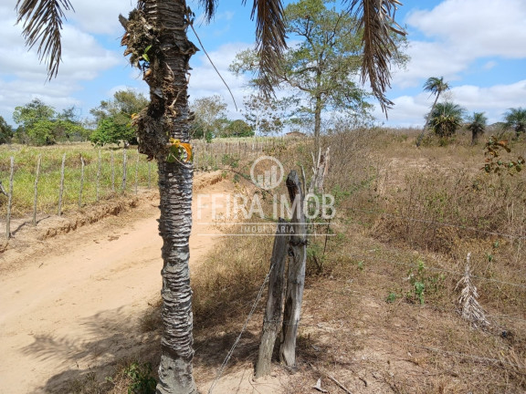 Imagem Terreno à Venda, 13.750 m² em Centro - Feira De Santana Imagem Terreno à Venda, 13.750 m² em Centro - Feira De Santana