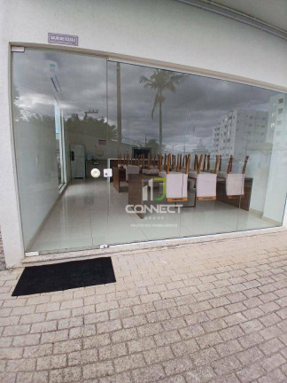 Imagem Apartamento com 2 Quartos para Alugar, 56 m² em Itaipava - Itajaí Imagem Apartamento com 2 Quartos para Alugar, 56 m² em Itaipava - Itajaí