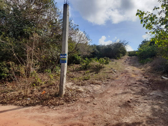 Imagem Terreno à Venda, 6.000 m² em Tibau Do Sul