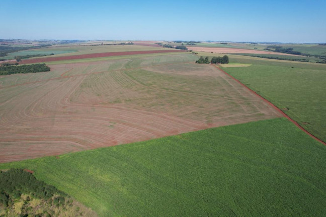 Imagem Fazenda à Venda, 540 m² em Zona Rural - Munhoz De Melo