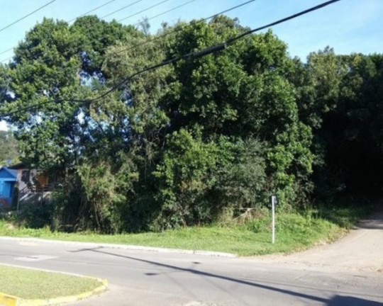 Terreno à Venda, 726 m² em Centro - Nova Petrópolis