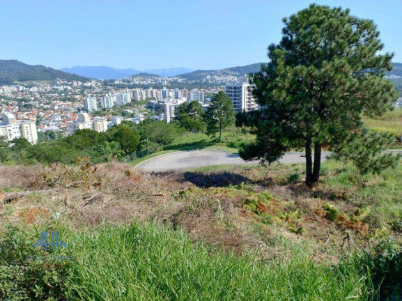 Imagem Terreno à Venda, 525 m² em Itacorubi - Florianópolis