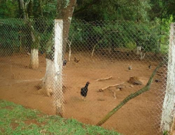 Imagem Imóvel com 5 Quartos à Venda, 300 m² em Fazenda Velha - Cesário Lange