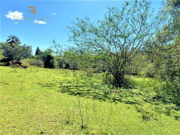Imagem Chácara à Venda, 5.000 m² em Fiuza - Viamão Imagem Chácara à Venda, 5.000 m² em Fiuza - Viamão
