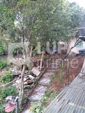 Imagem Terreno à Venda, 320 m² em Vila Maria Alta - São Paulo