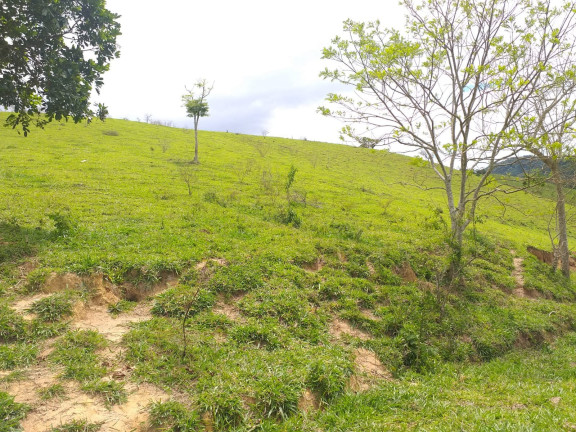 Imagem Fazenda à Venda, 9.790.000 m² em Centro - Trajano De Morais