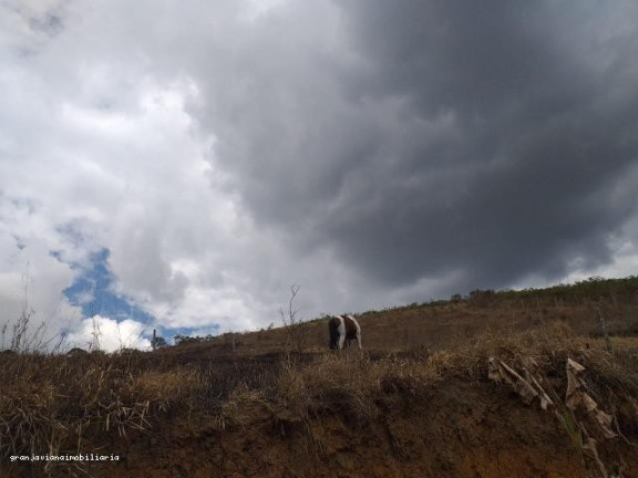 Imagem Chácara à Venda, em Consultar - Ibiúna Imagem Chácara à Venda, em Consultar - Ibiúna