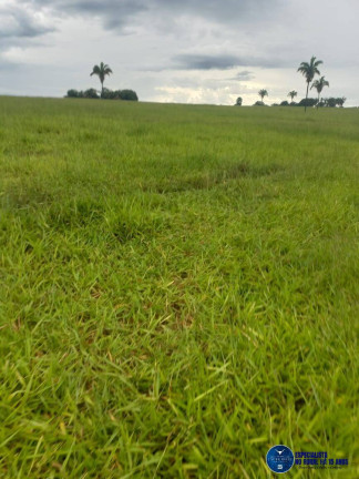Imagem Fazenda à Venda, 197 m² em Zona Rural - Novo Brasil Imagem Fazenda à Venda, 197 m² em Zona Rural - Novo Brasil