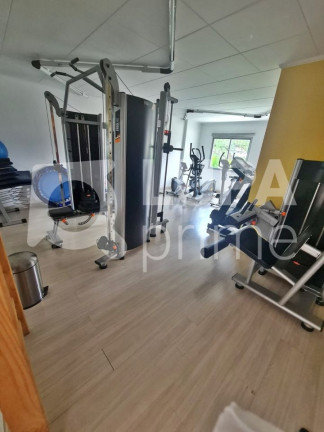 Imagem Apartamento com 3 Quartos à Venda, 78 m² em Vila Ede - São Paulo Imagem Apartamento com 3 Quartos à Venda, 78 m² em Vila Ede - São Paulo