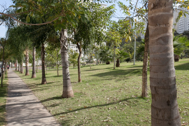Imagem Apartamento com 2 Quartos à Venda, 43 m² em Jardim íris - São Paulo Imagem Apartamento com 2 Quartos à Venda, 43 m² em Jardim íris - São Paulo