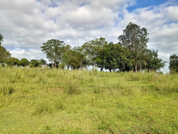 Imagem Terreno à Venda, 5.000 m² em Boi Morto - Santa Maria Imagem Terreno à Venda, 5.000 m² em Boi Morto - Santa Maria