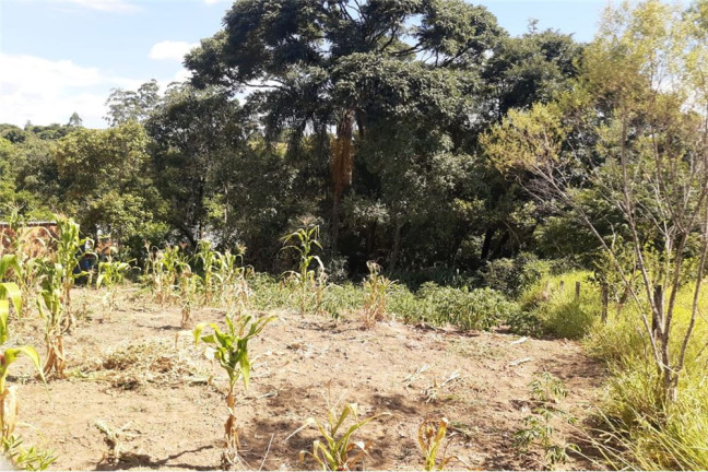 Imagem Terreno à Venda, 1.300 m² em Portal De Pirapora - Salto De Pirapora Imagem Terreno à Venda, 1.300 m² em Portal De Pirapora - Salto De Pirapora