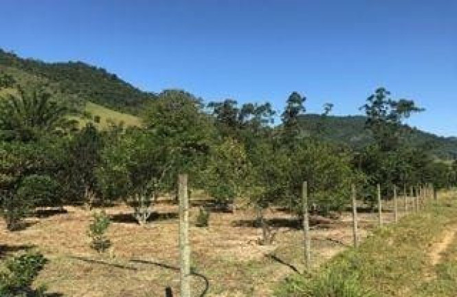Imagem Imóvel com 2 Quartos à Venda, 717.000 m² em Comunidade Urbana De Jaboti - Guarapari Imagem Imóvel com 2 Quartos à Venda, 717.000 m² em Comunidade Urbana De Jaboti - Guarapari