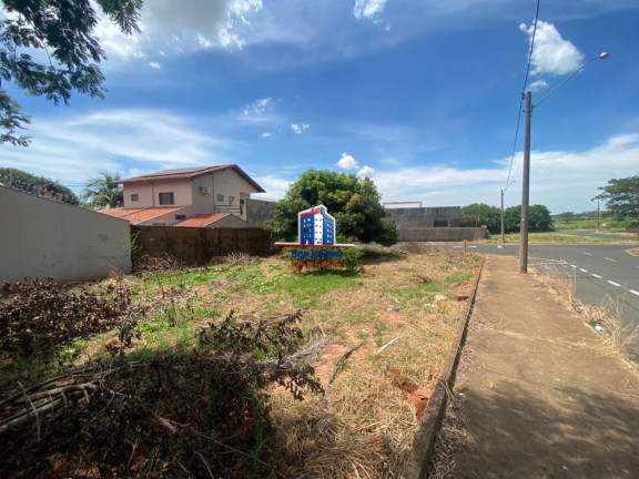 Imóvel à Venda, 465 m² em Centro - São José Do Rio Preto