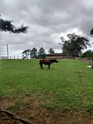 Imagem Fazenda à Venda, 363 m² em Rural - Ortigueira Imagem Fazenda à Venda, 363 m² em Rural - Ortigueira