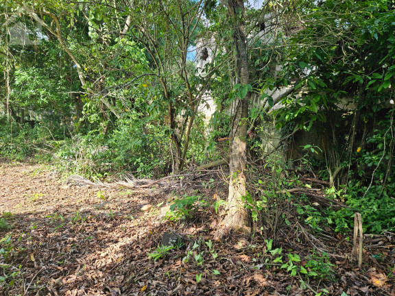 Imagem Terreno à Venda, 652 m² em Vargem Grande - Rio De Janeiro Imagem Terreno à Venda, 652 m² em Vargem Grande - Rio De Janeiro